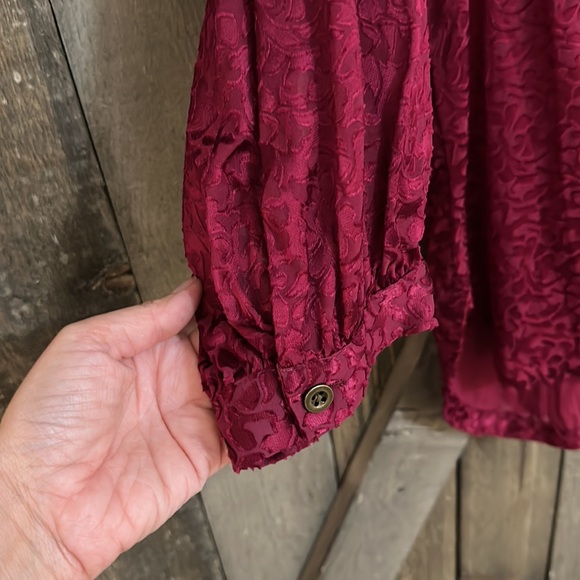 Anthropologie Susanna Burnout Velvet Button Down Blouse - Picture 9 of 12